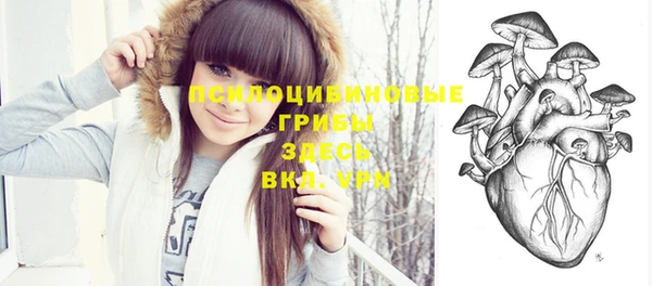 круглые Няндома