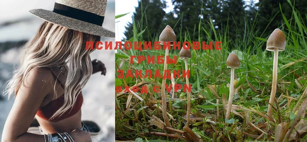 ГАЛЛЮЦИНОГЕННЫЕ ГРИБЫ Абинск