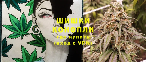 PSILOCYBIN Абаза