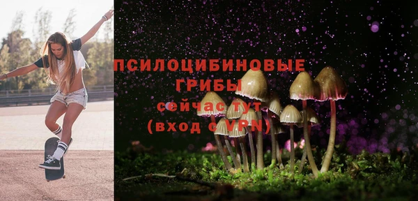 PSILOCYBIN Абаза