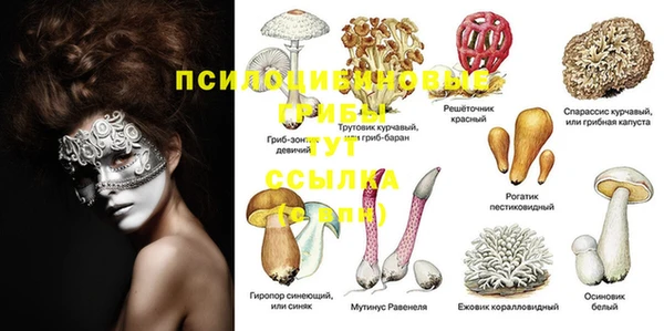 ГАЛЛЮЦИНОГЕННЫЕ ГРИБЫ Абинск
