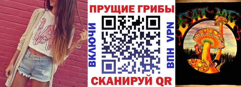 Псилоцибиновые грибы мицелий  сайты даркнета как зайти  Иланский 